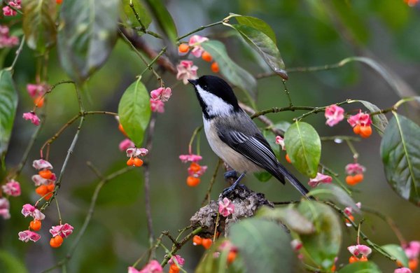 How Do Environmental Factors Affect Equipment Choice in Outdoor Sports?